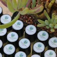 Load image into Gallery viewer, EFE Fly Spray Eye Rollers