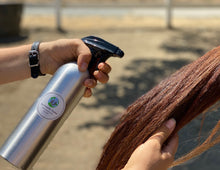 Load image into Gallery viewer, EFE Daily Shine Spray