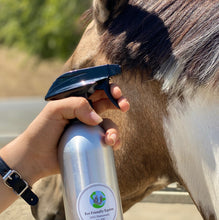 Load image into Gallery viewer, EFE Daily Shine Spray