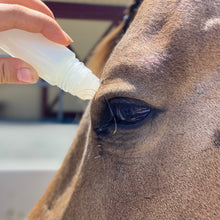 Load image into Gallery viewer, EFE Fly Spray Eye Rollers