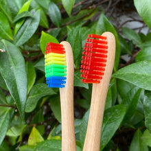 Load image into Gallery viewer, EFE Bit Scrubbers